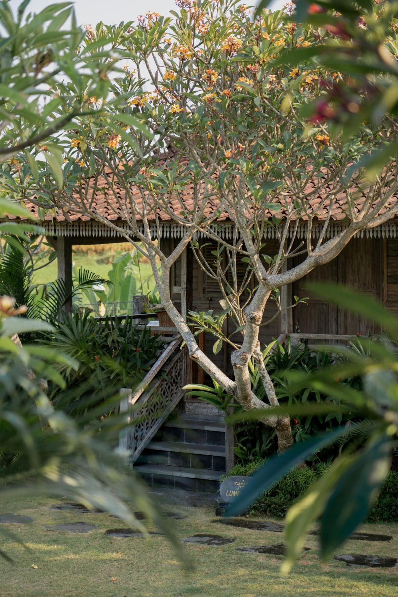 Aswanaya Villas Ubud Eksteriør billede